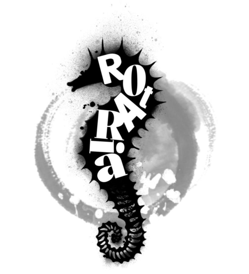 Rota Ria Alojamento Local Aveiro Exterior foto